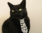 “智能分析技术助力青训,提升青少年技术水平”,青少年智能技术水平测试