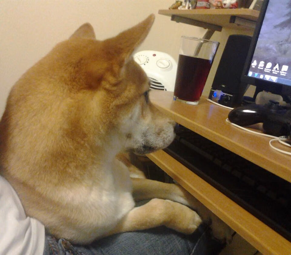 _走进自然:沙滩网球对抗赛火热开启_,沙滩网球和普通网球区别