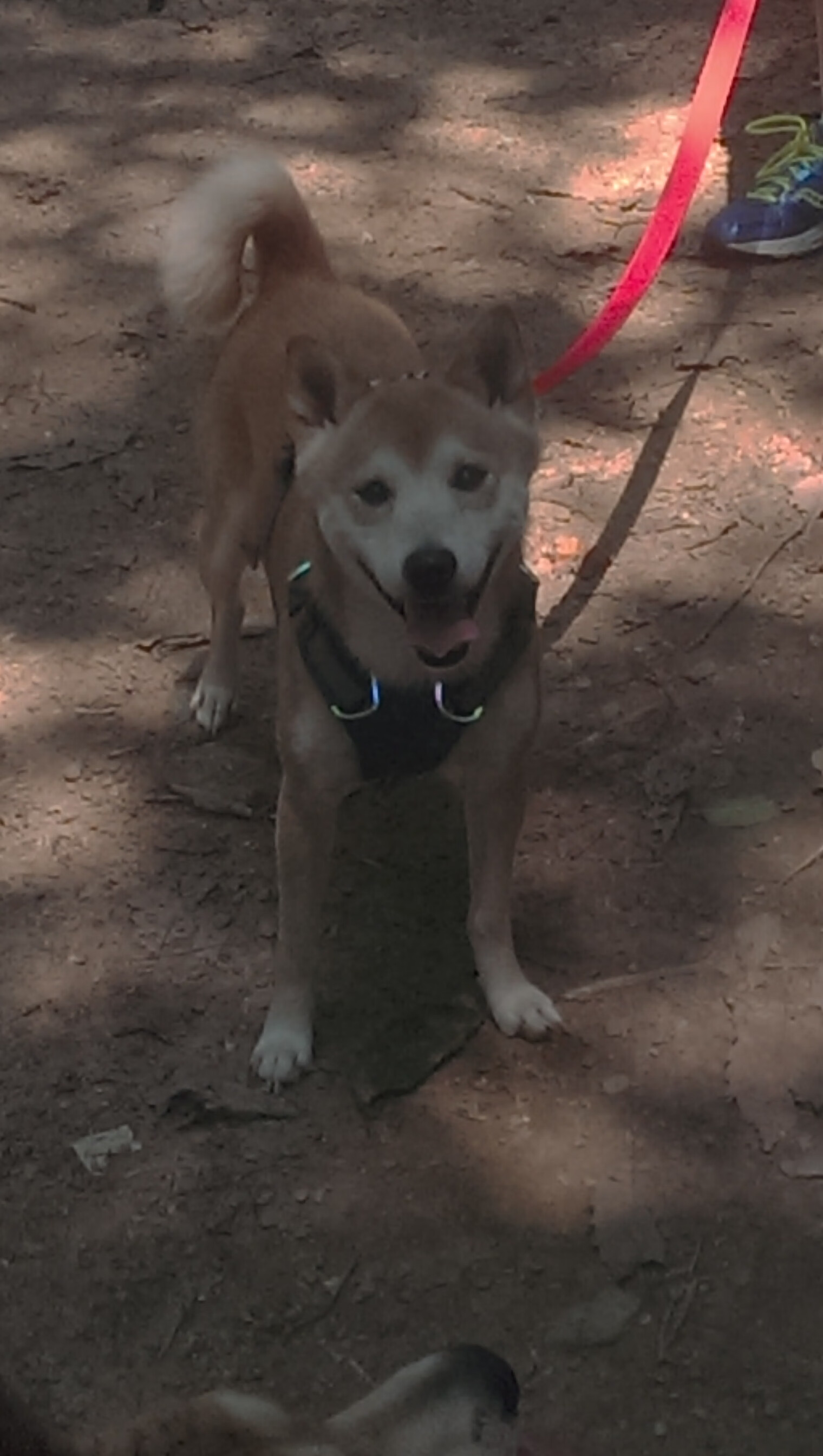 九游娱乐电竞站-全国青少年“梦想跑”公益篮球赛在杭州激烈开展，倡导青春活力